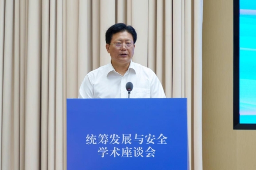 統(tǒng)籌發(fā)展與安全 (11)